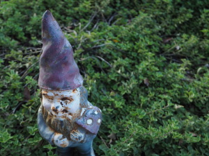 Little gnome tending to the community oregano