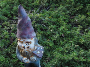 Thumbnail garden_herbgnome.JPG 